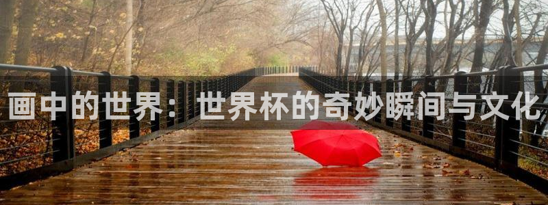 世界杯亚洲区预选赛积分榜:画中的世界:世界杯的奇妙瞬间与文化