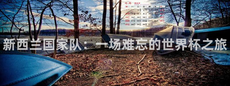 世界杯预选赛:新西兰国家队:一场难忘的世界杯之旅