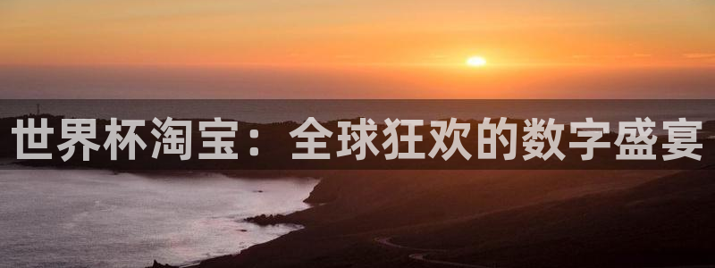 2006年世界杯冠军:世界杯淘宝:全球狂欢的数字盛宴