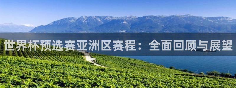 世界杯预选赛排名:世界杯预选赛亚洲区赛程:全面回顾与展望