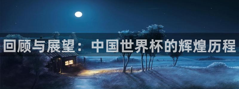 2006年世界杯:回顾与展望:中国世界杯的辉煌历程