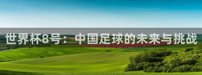 世界杯 2026:世界杯8号:中国足球的未来与挑战