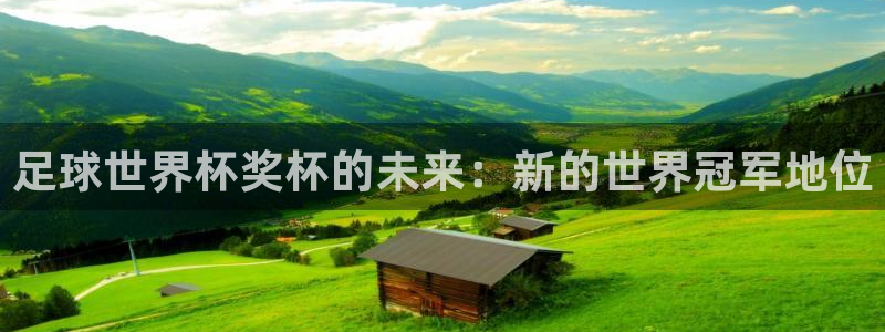 世界杯球赛:足球世界杯奖杯的未来:新的世界冠军地位