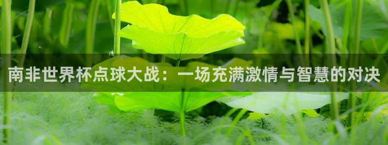 世界杯直播在线观看入口:南非世界杯点球大战:一场充满激情与智慧的对决